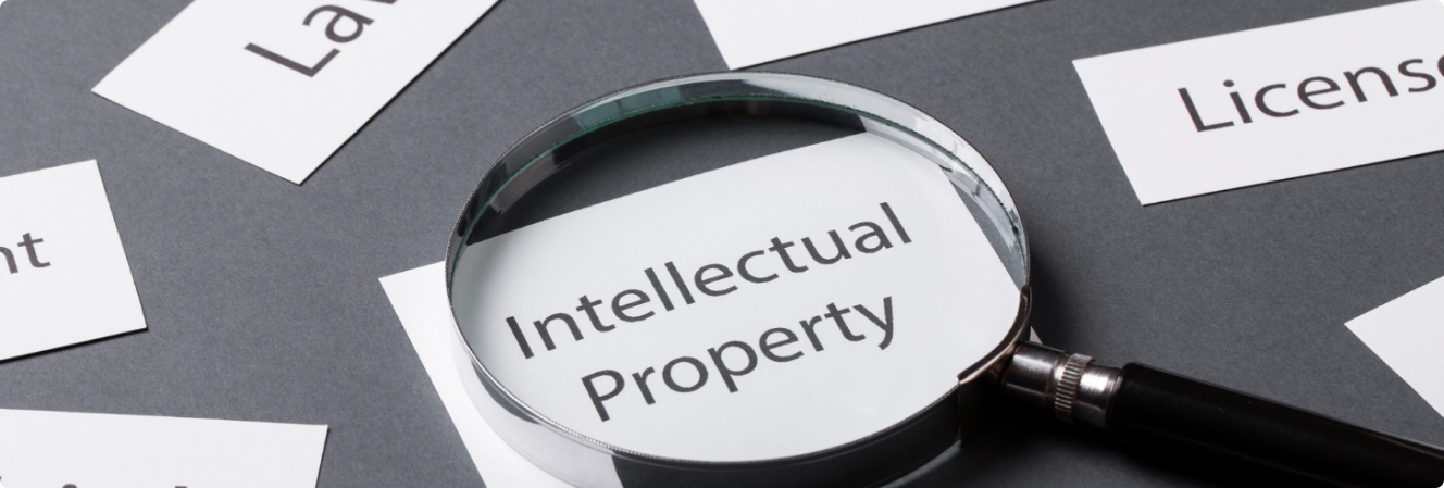 picture depicting property law